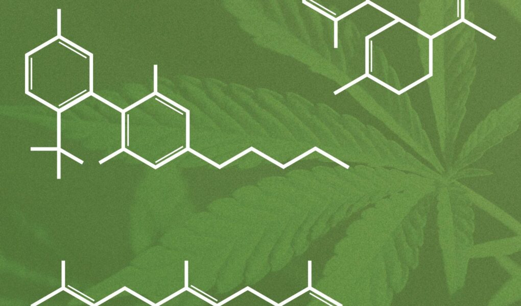 Cannabinoids drugs examples