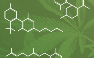 Cannabinoids drugs examples