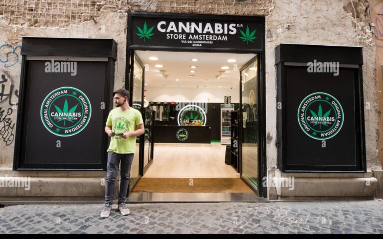 cannabis shop