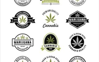 cannabis co