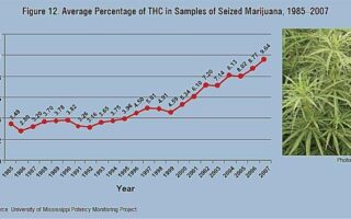 cannabis levels