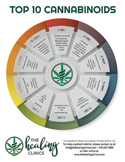 what is cannabinoids