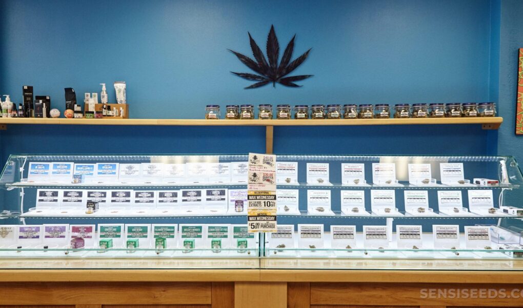 cannabis dispensaries