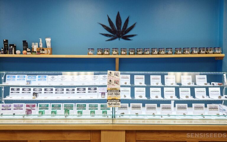 cannabis dispensaries