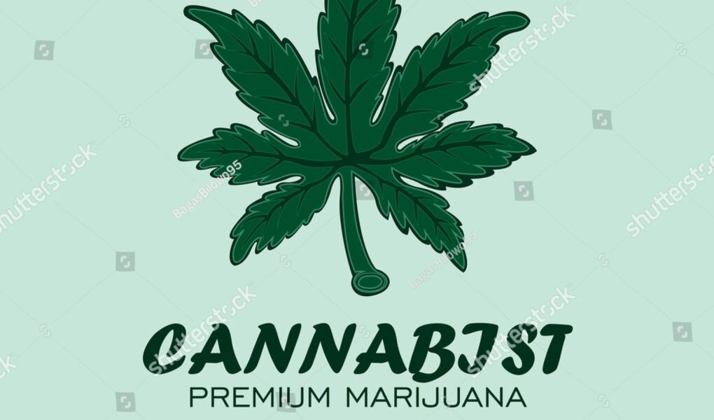 Cannabist means in Hindi