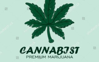 Cannabist means in Hindi