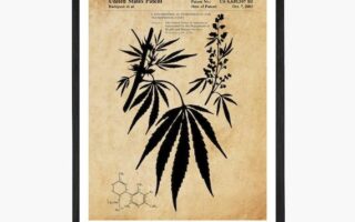 denver post cbd patent