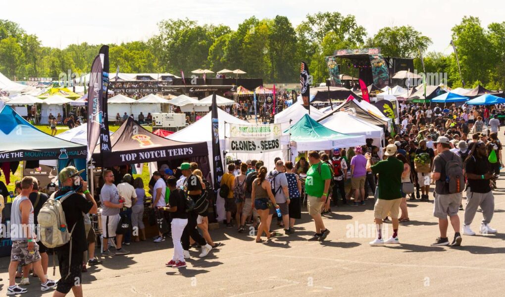 cannabis cup 2019