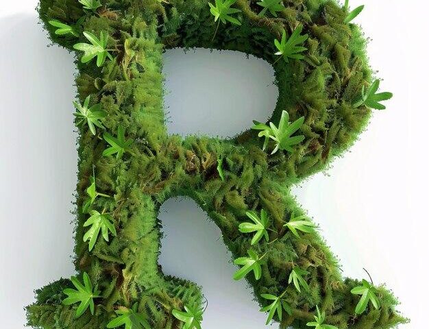 cannabis spelling