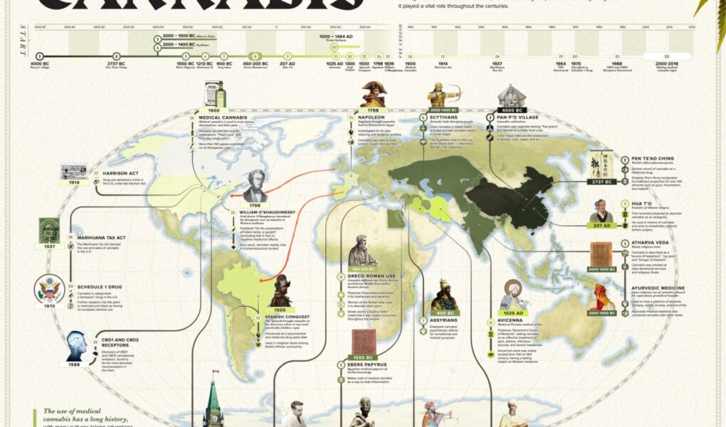 history of the cannabis plant