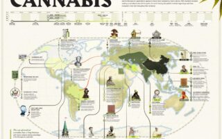 history of the cannabis plant