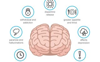 marijuana effects on blood pressure