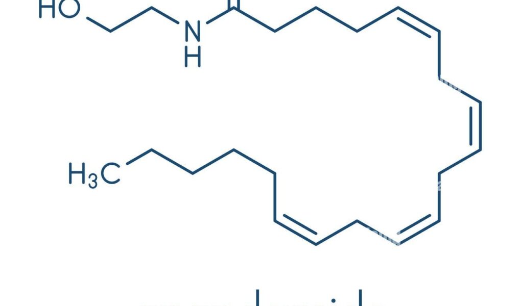 anandamide