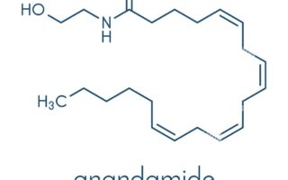 anandamide