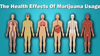 what are the side effects of marijuana