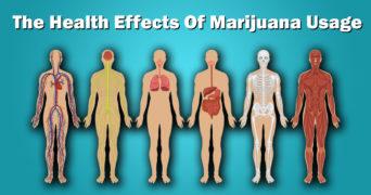 what are the side effects of marijuana