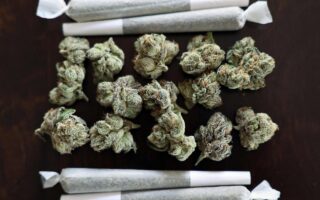 marijuana definition psychology