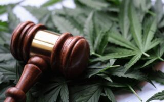 new cannabis law