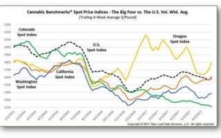 cannabis prices