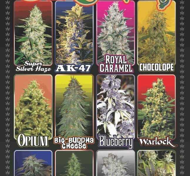 different forms of marijuana