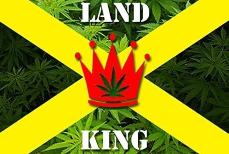 cannabis land