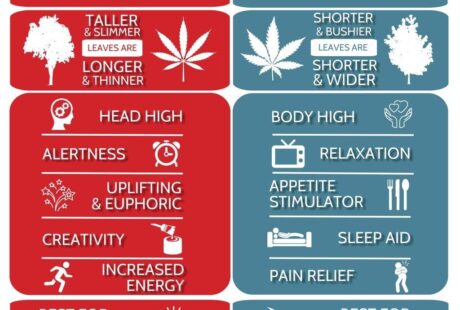 sativa side effects