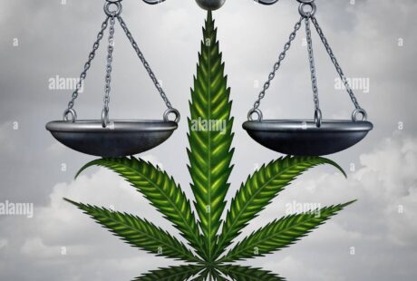 law of cannabis