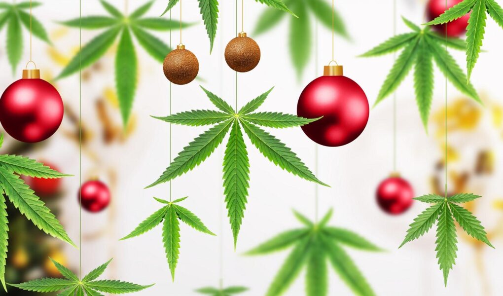 cannabis christmas