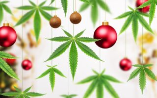 cannabis christmas