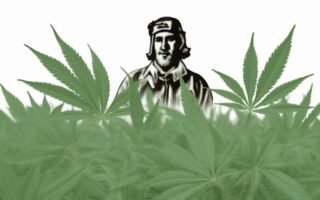 cannabis news and resources