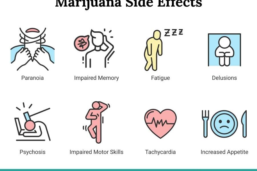 effects of marijuana