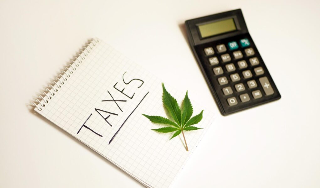 tax cannabis