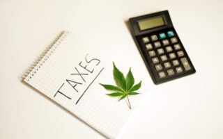 tax cannabis