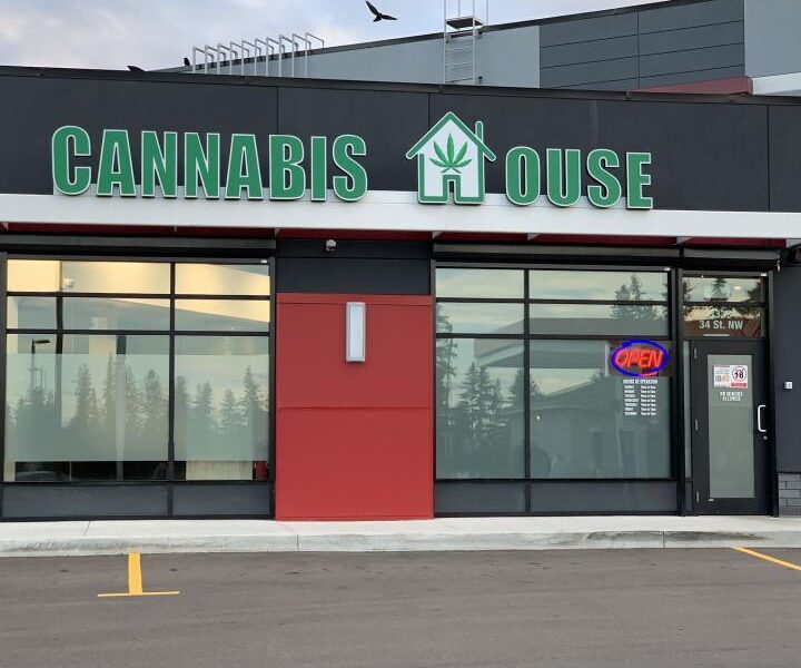 house on cannabis