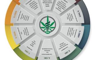 types of cannabinoids