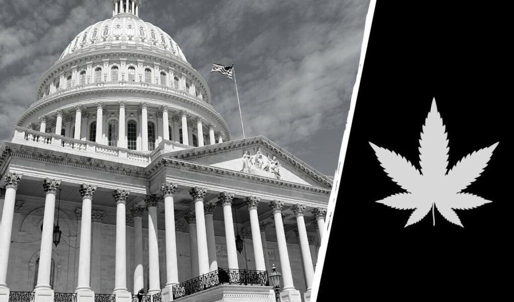 government marijuana