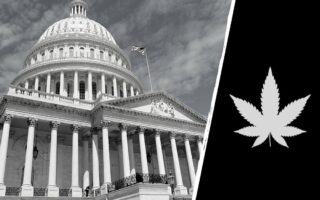 government marijuana