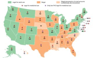 cannabis states