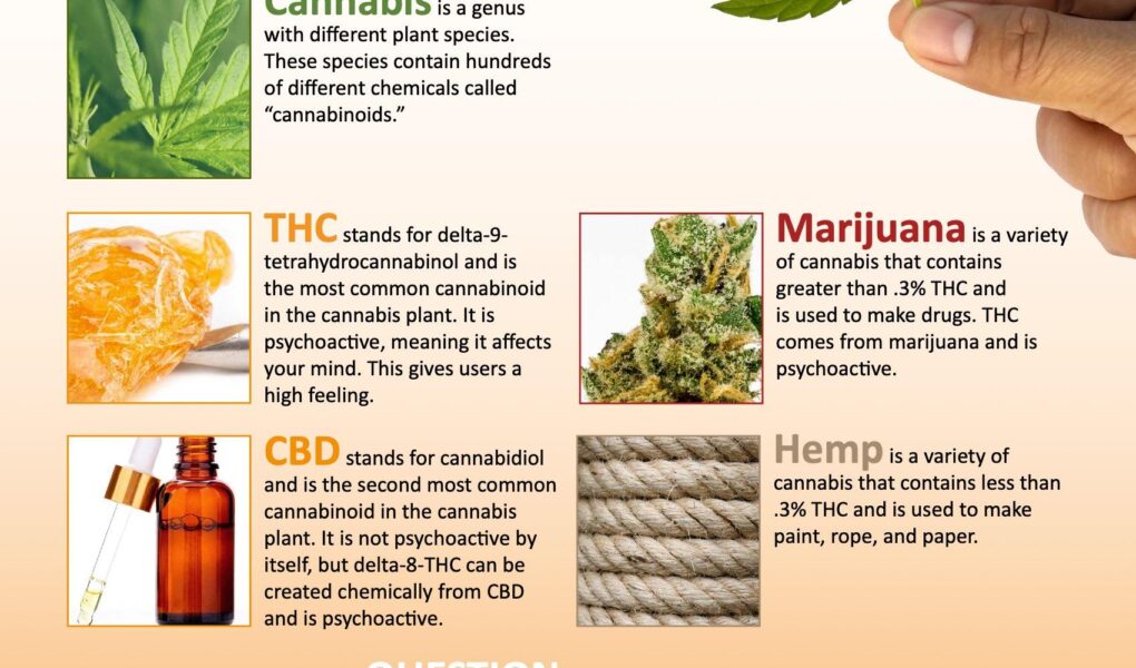 facts about marijuana