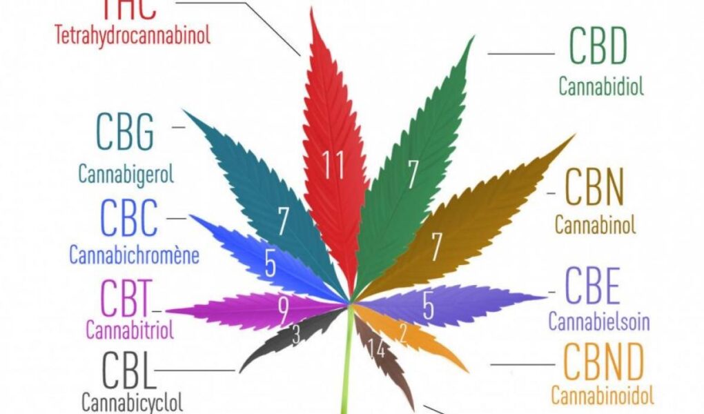 medical cannabis benefits