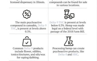 marijuana derivatives