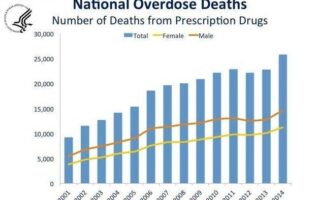 deaths from marijuana