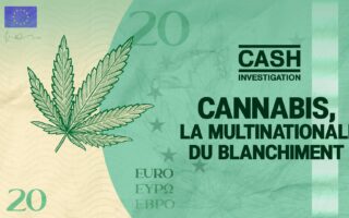 cannabis cash