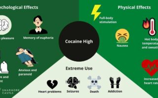 cocaine effects