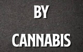 cannabis death