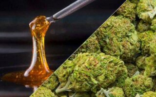 cannabinoids vs thc