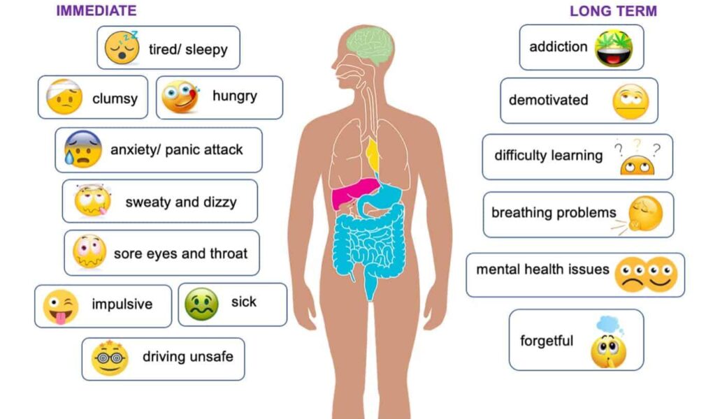 long term effects of cannabis