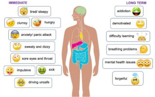 long term effects of cannabis