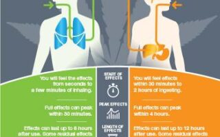 effects of cannabis