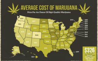 cannabis cost